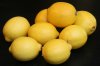 eingelegte Zitronen (002 von 002).jpg