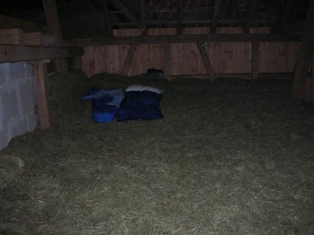 DSCN0980.JPG
