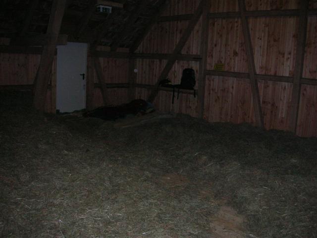 DSCN0981.JPG