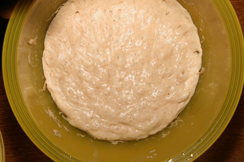 bild_02.jpg