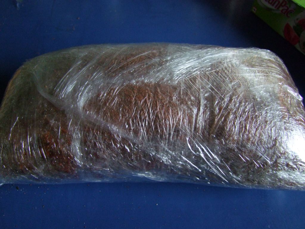 pp-6.jpg
