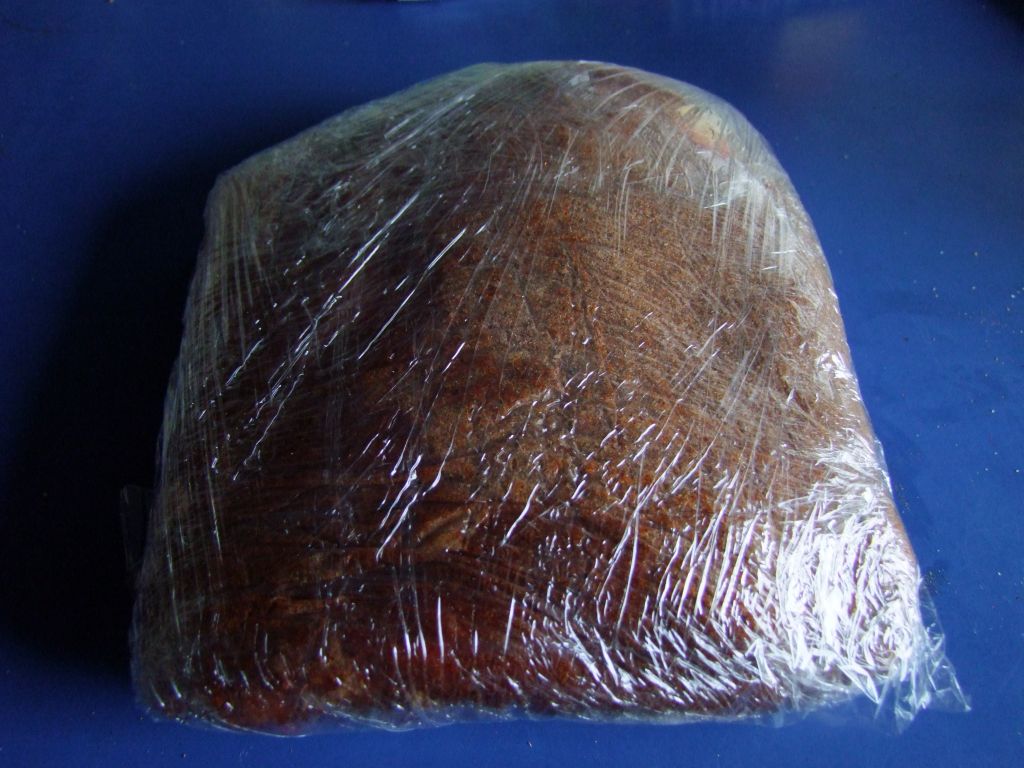 pp-9.jpg