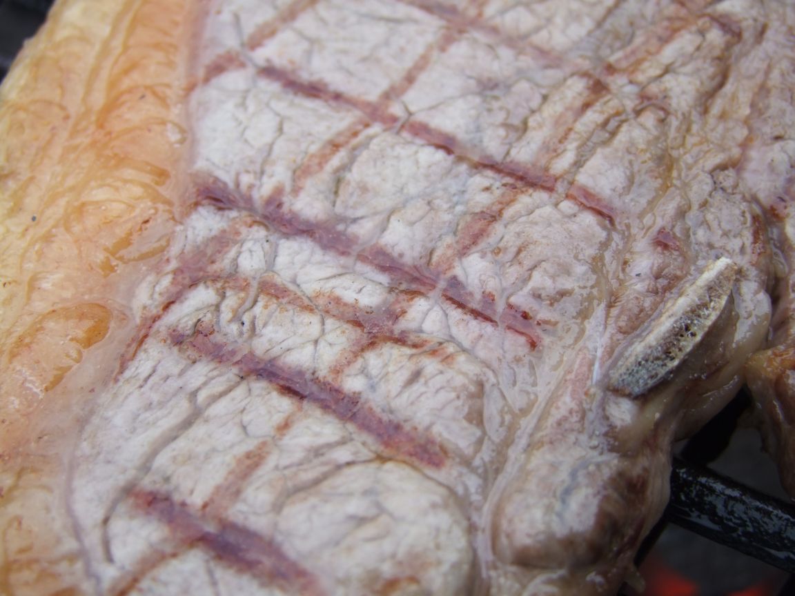 tbone-7.jpg