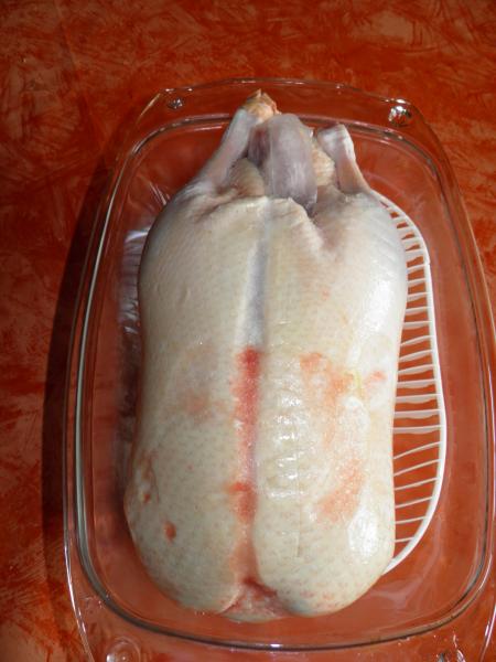 01ente.jpeg