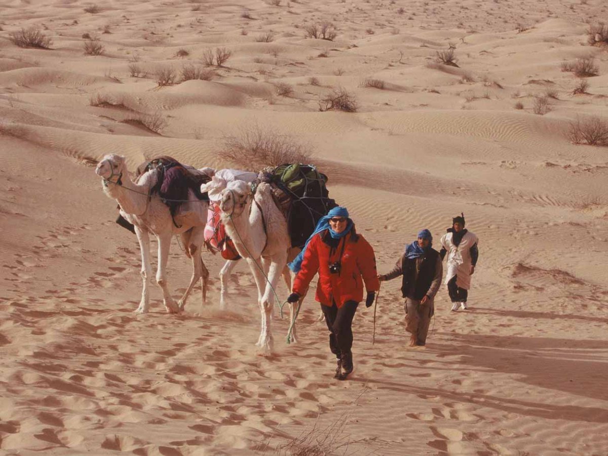 0207_097_Alex führt die Kamele, mit Ahmed und Hedi_Gege.JPG