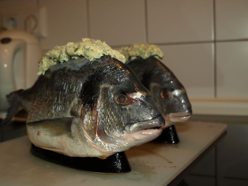 03.JPG