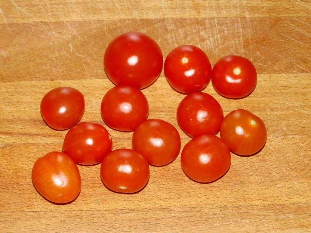 05_Tomaten.jpg
