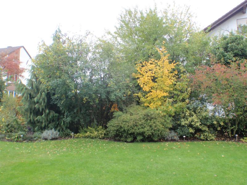 07herbst.jpeg