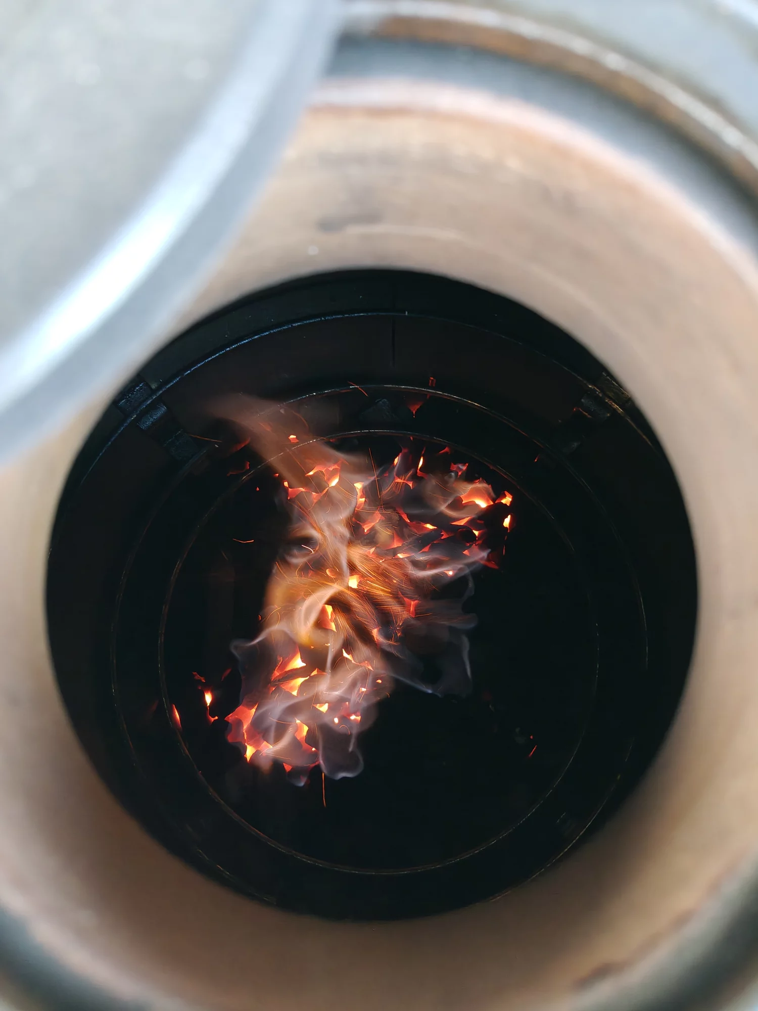 1000060508.webp