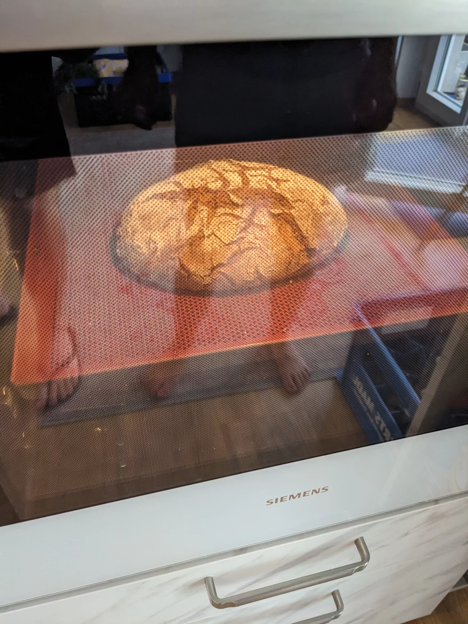 1000061061.webp