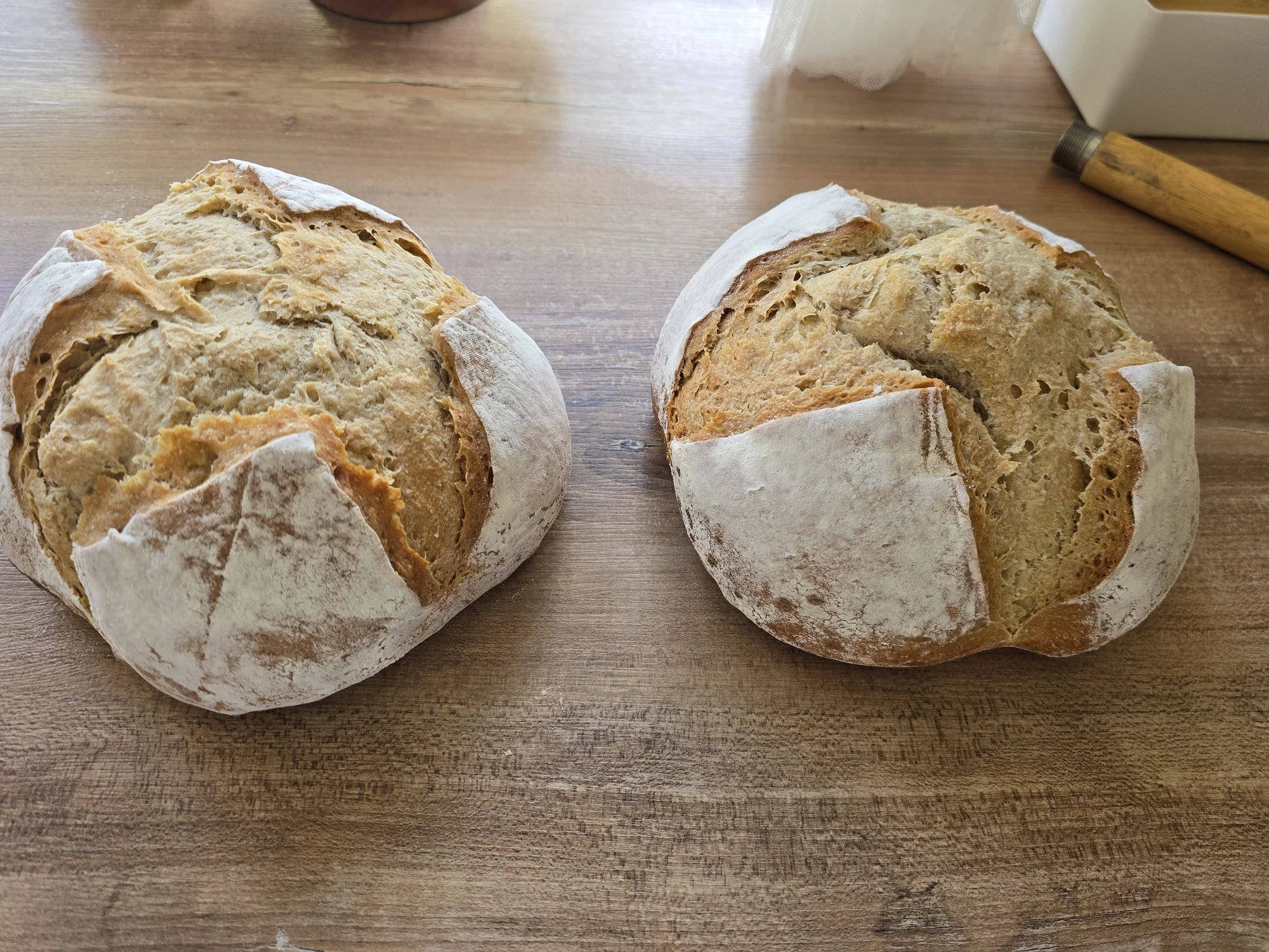 1000175255.webp