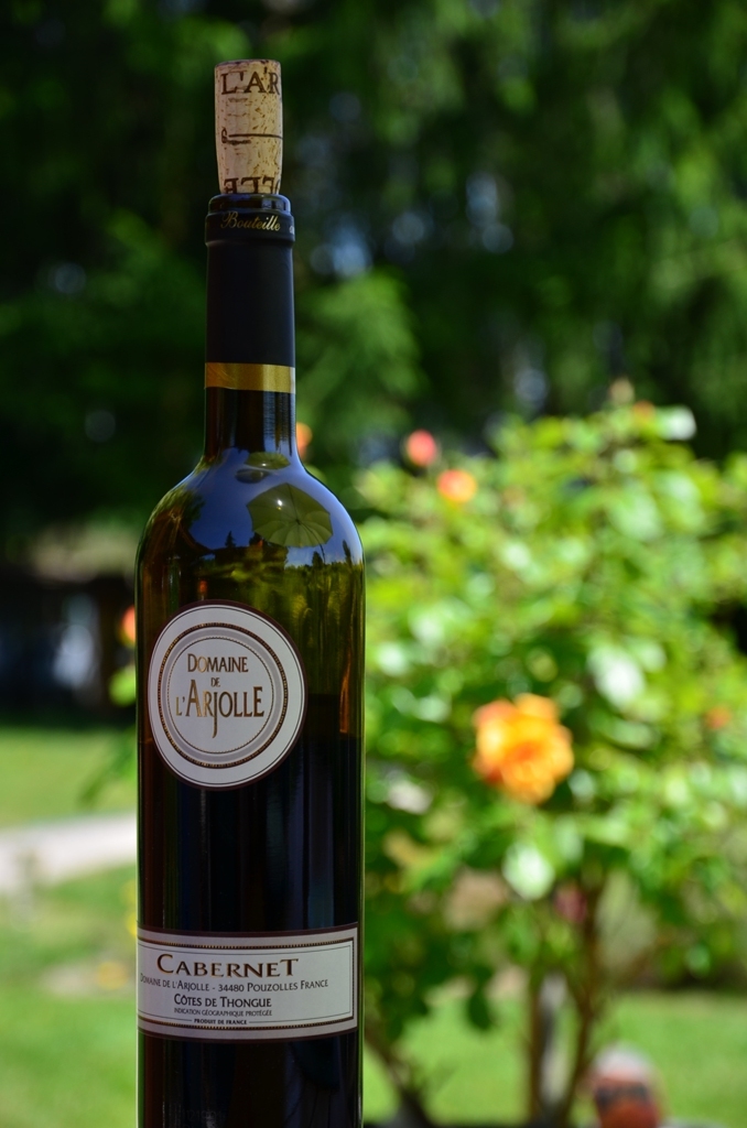 19.jpg