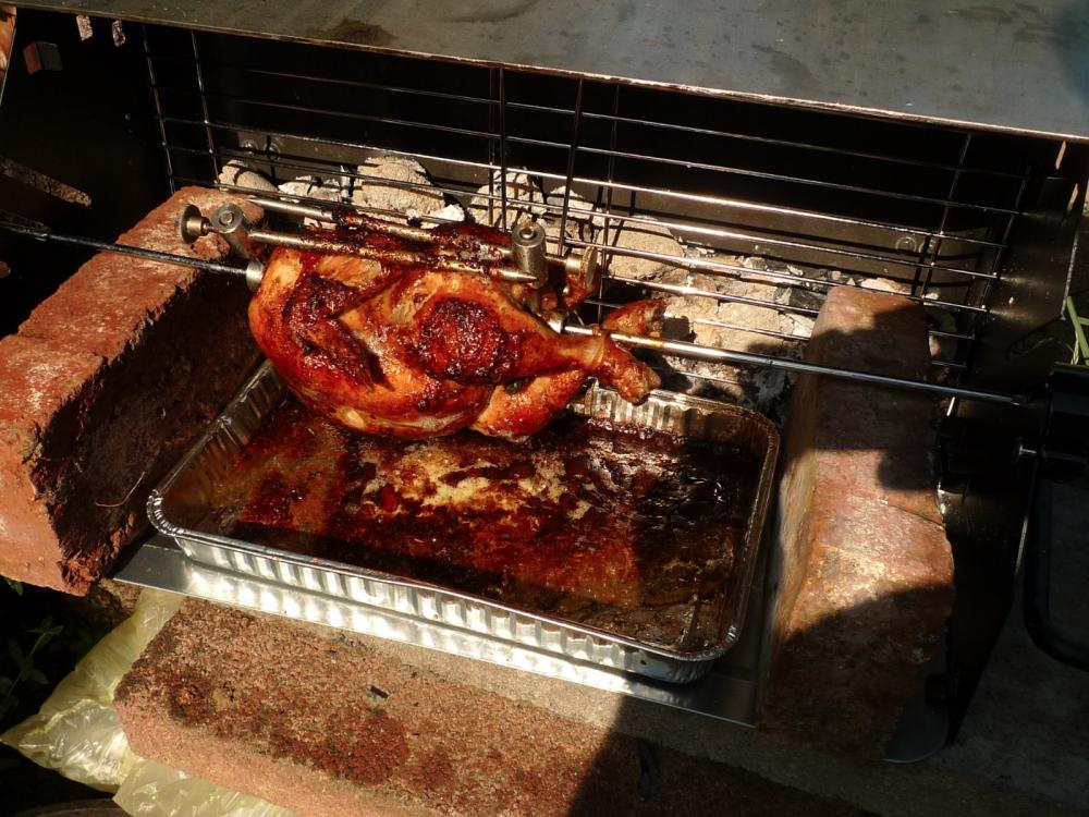 1chicken2.jpg