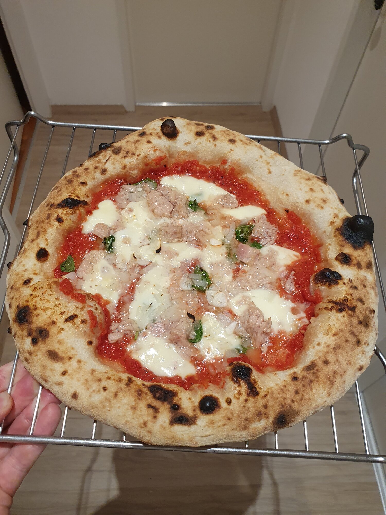 Pizza Napolitana im konventionellen Backofen? | Seite 6 | Grillforum