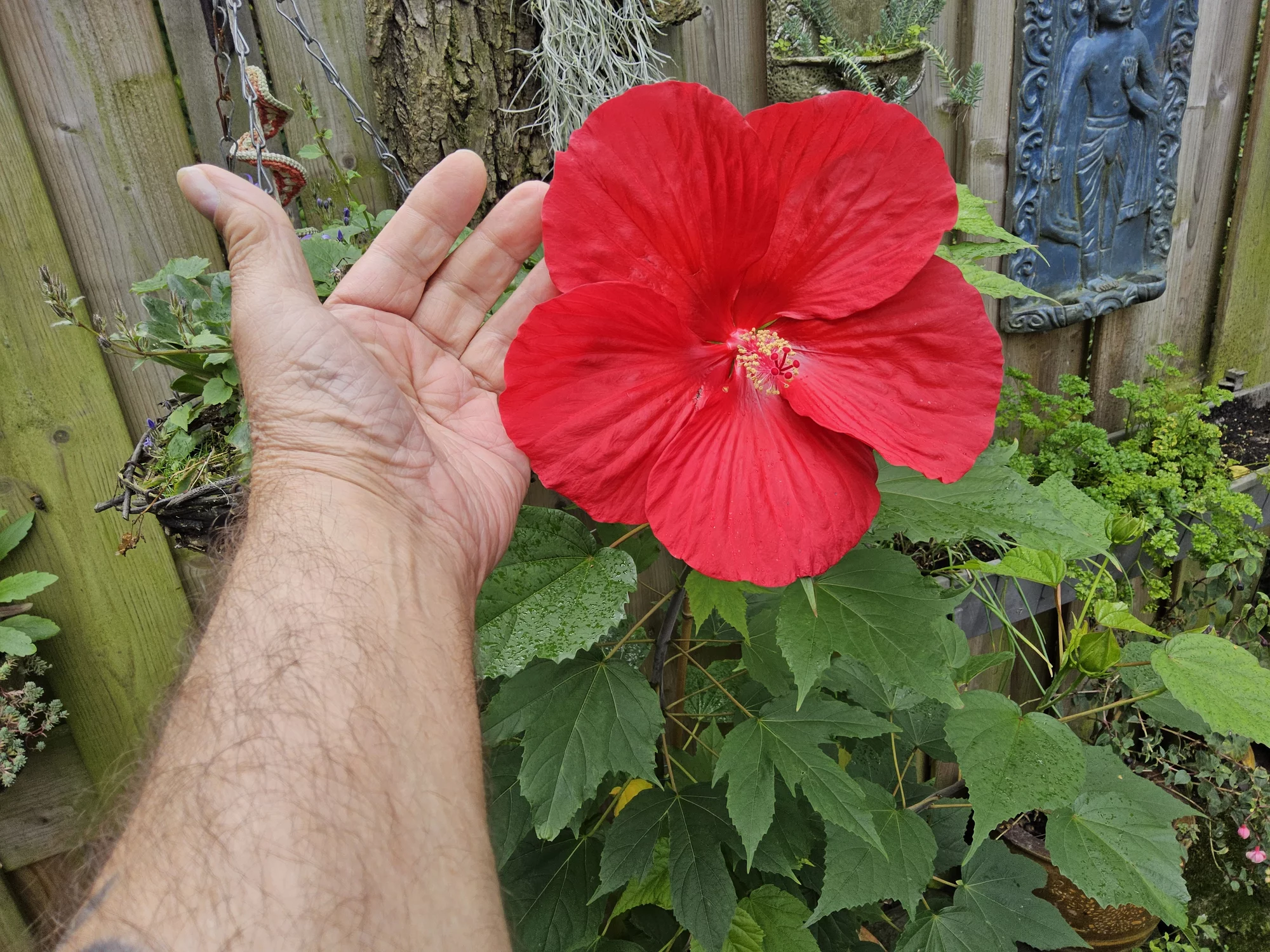 20260919_095138.webp