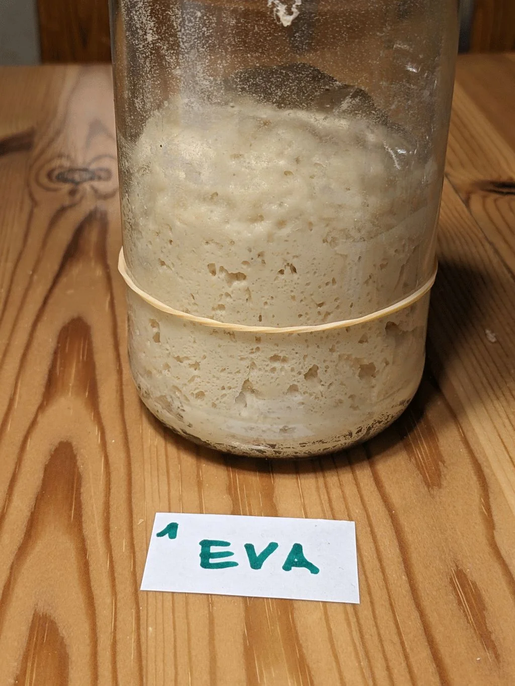 21 - Eva rennt.webp