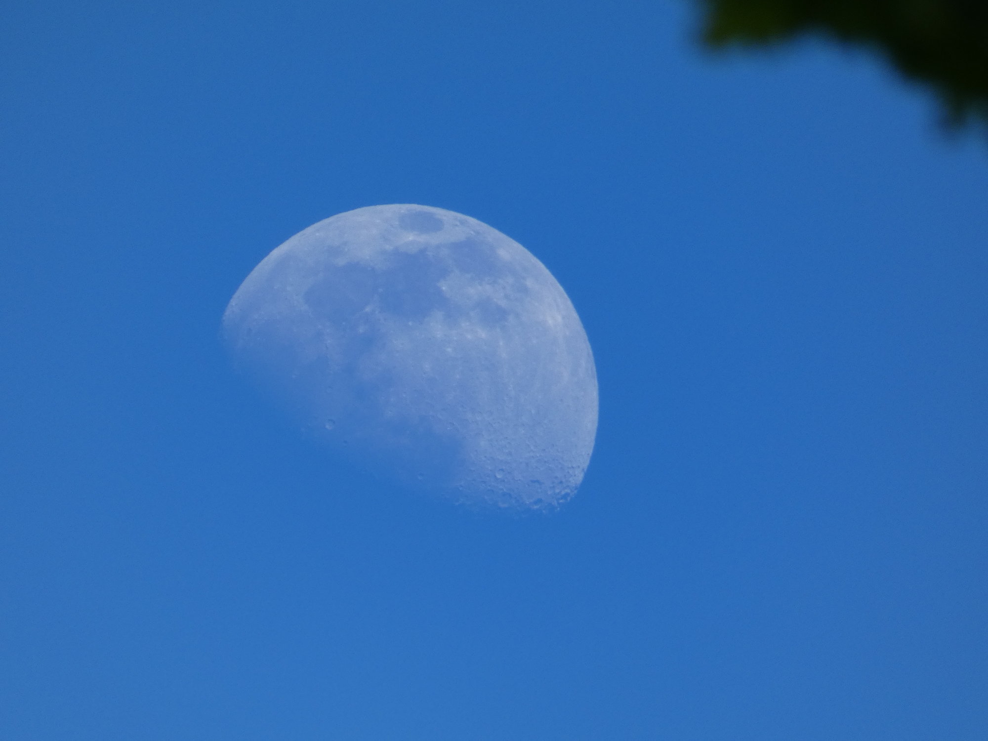 441DC1D3-FF58-4C6B-A7AC-78F8FD3C8D5D.jpeg