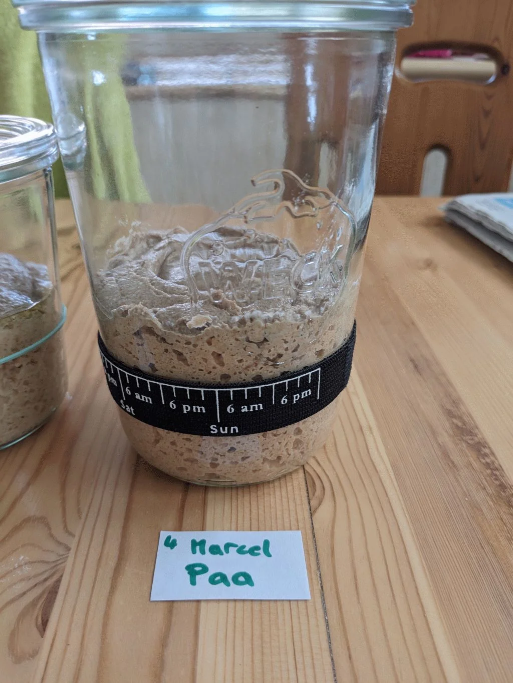 48 - Marcel.webp