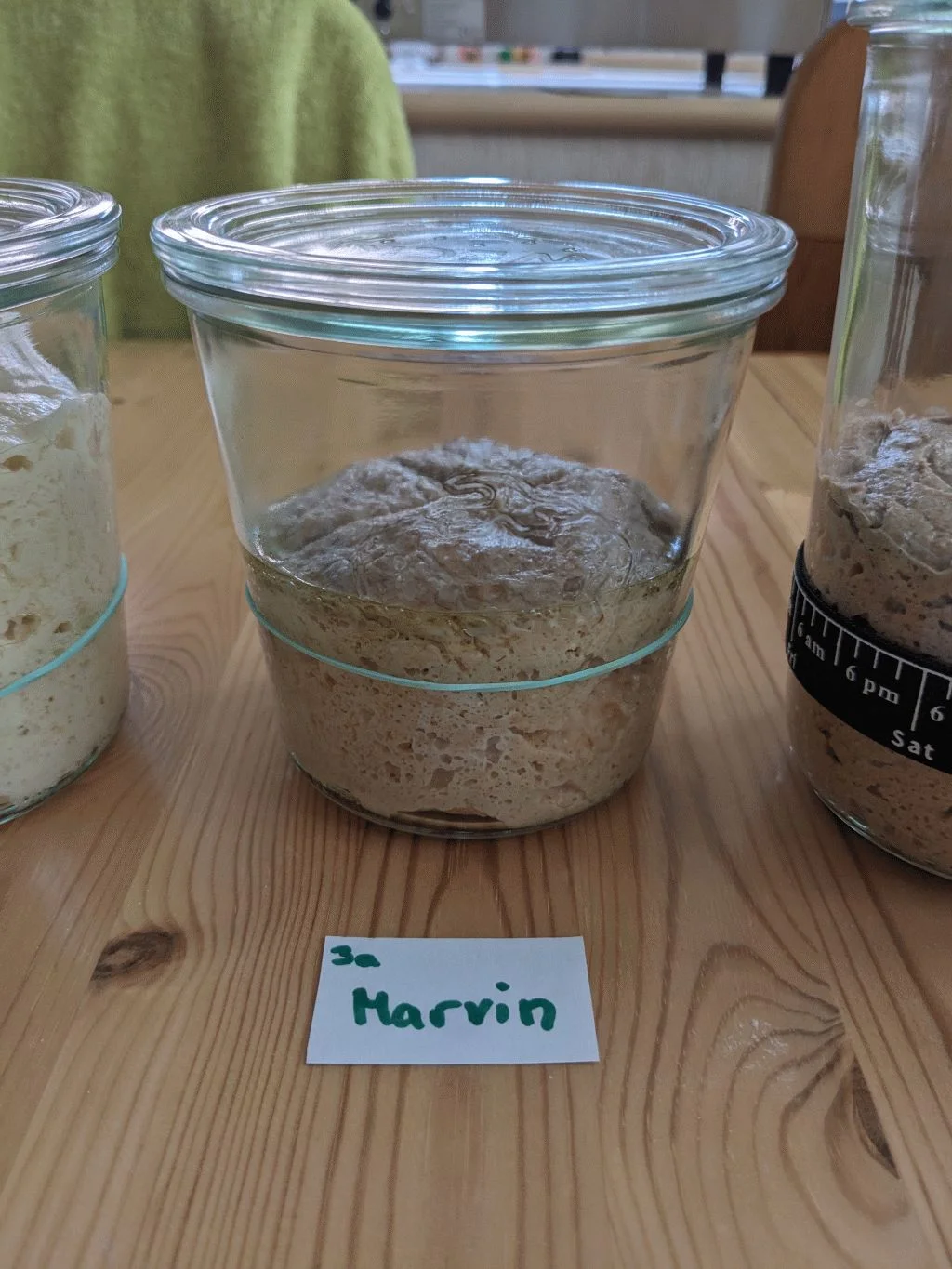 49 - Marvin.webp