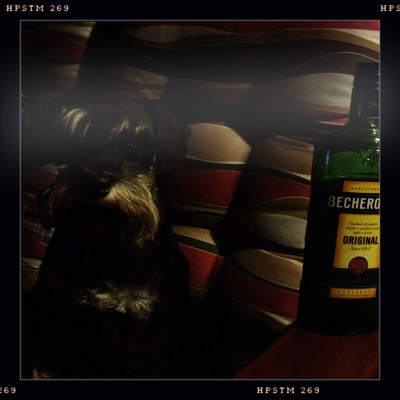 5_absacker.jpg