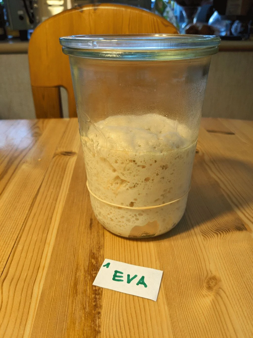61 - Eva.webp