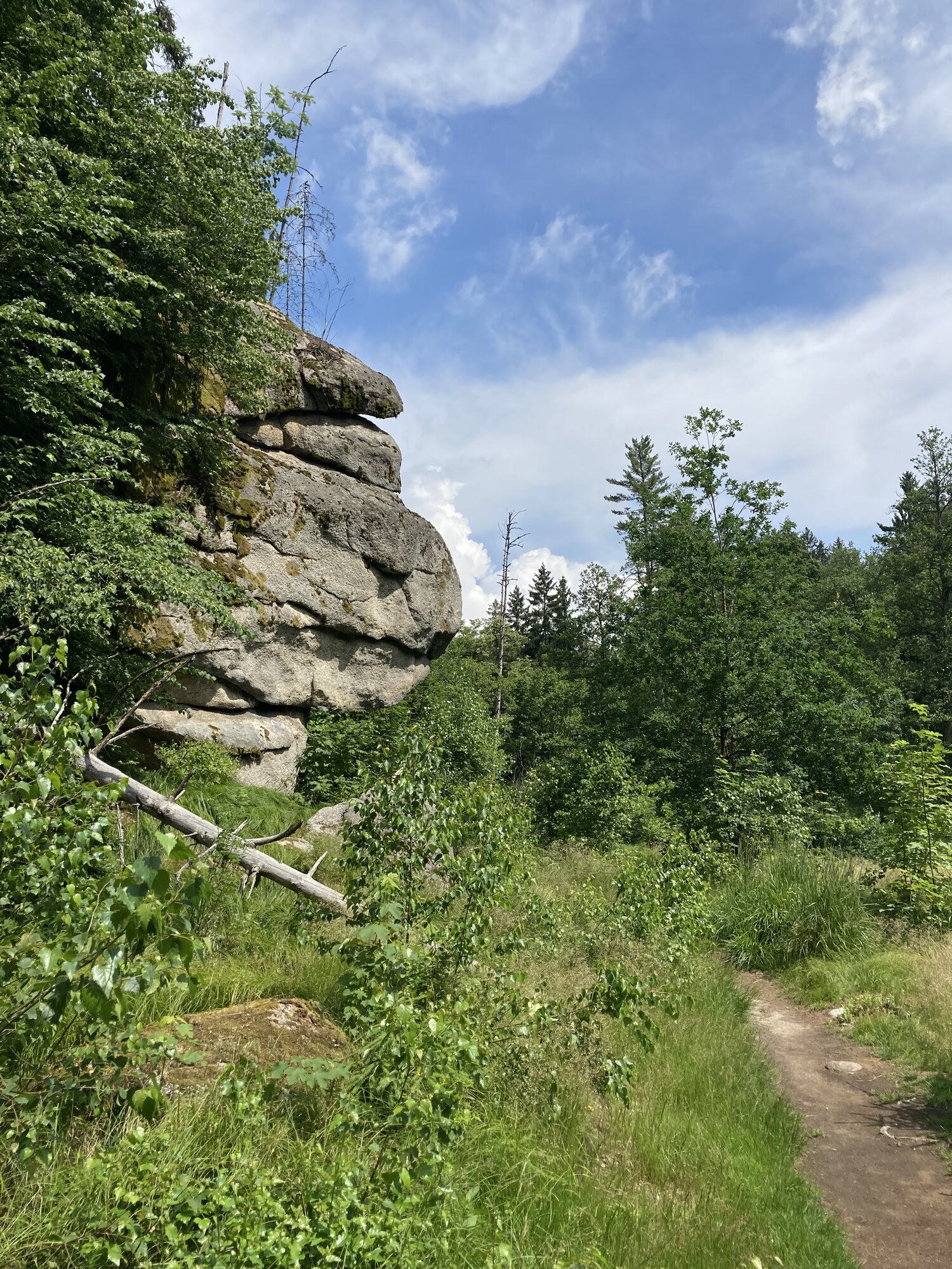 841E76EF-165E-430F-A032-E088F3A846A5.jpeg