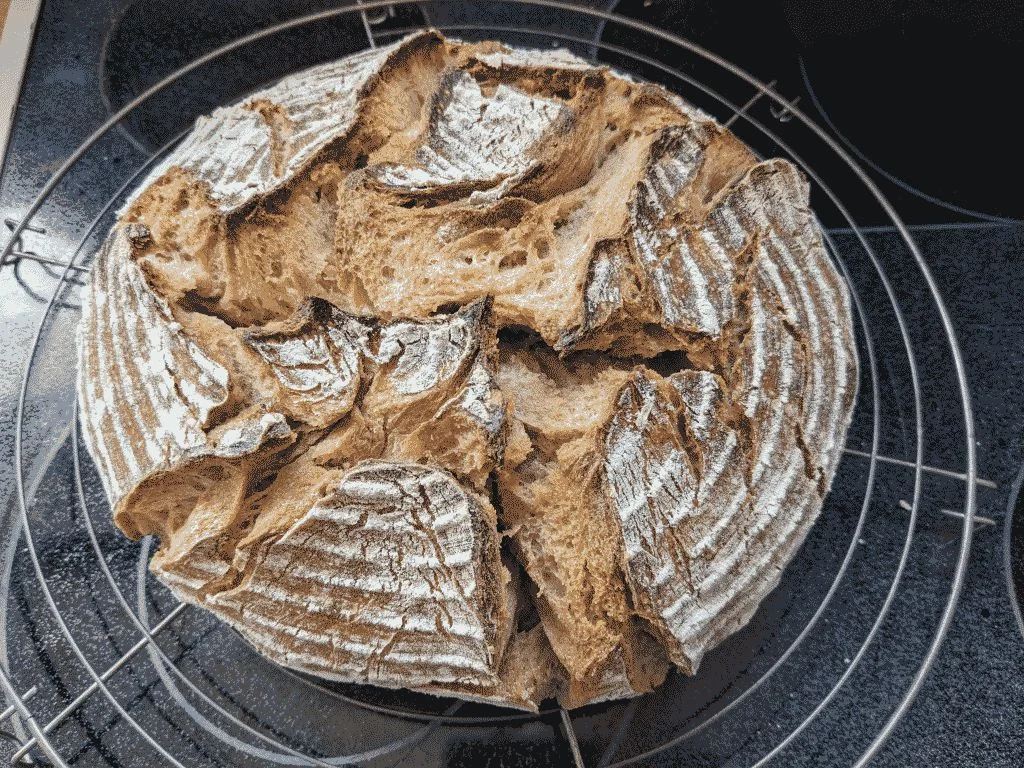 85 - Brot 2.webp