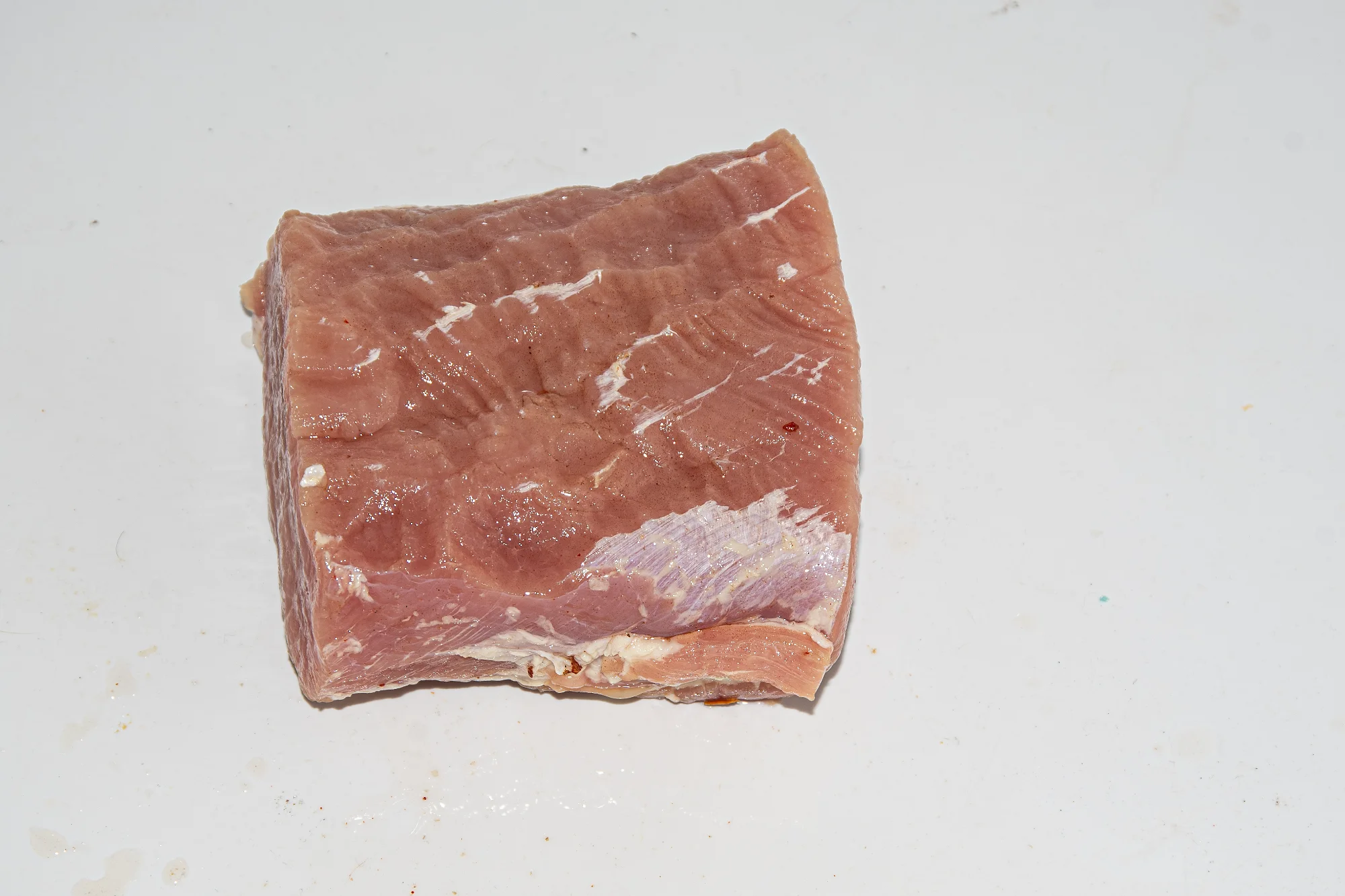 _DSC2061.webp