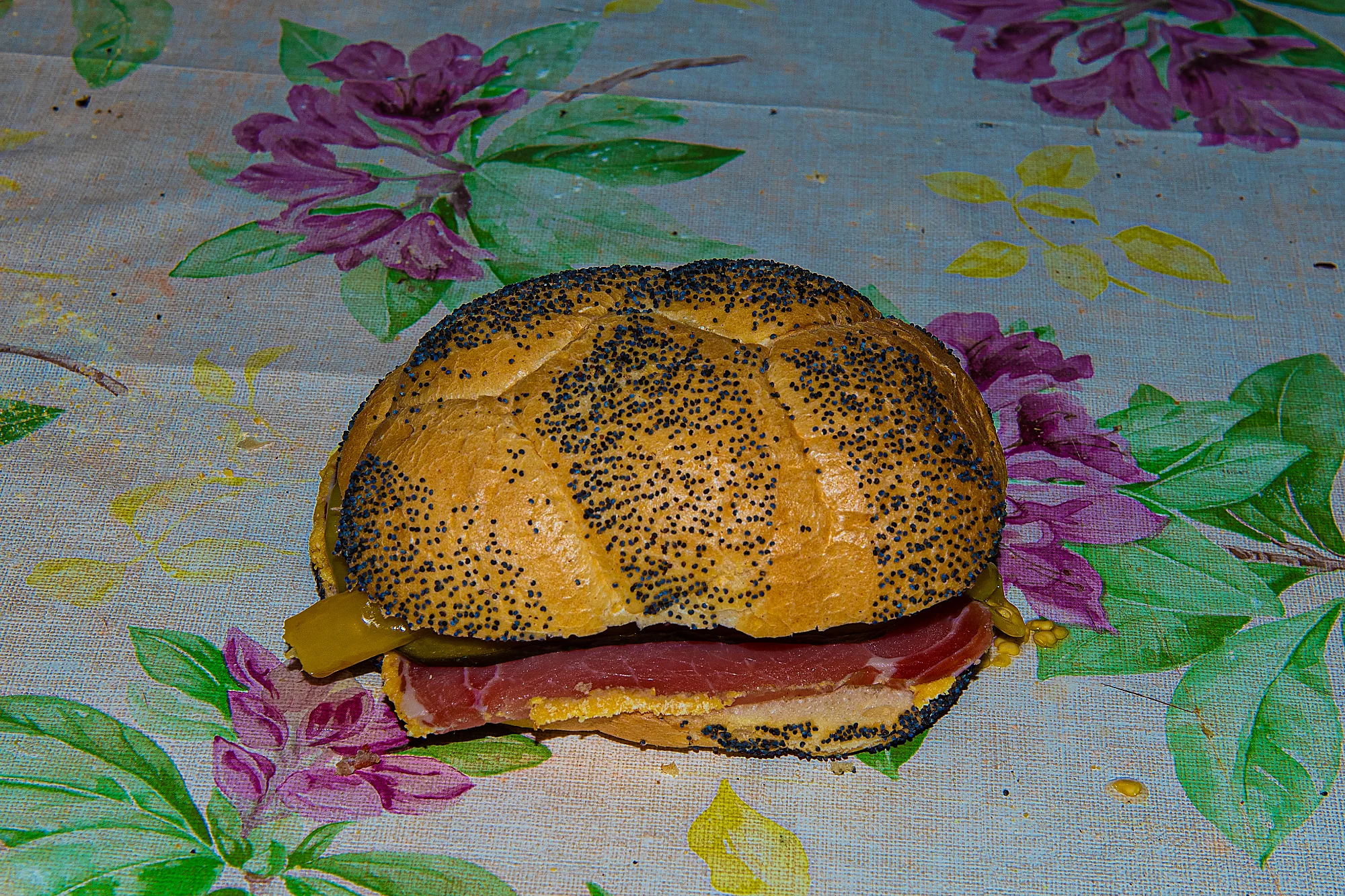 _DSC2114.webp