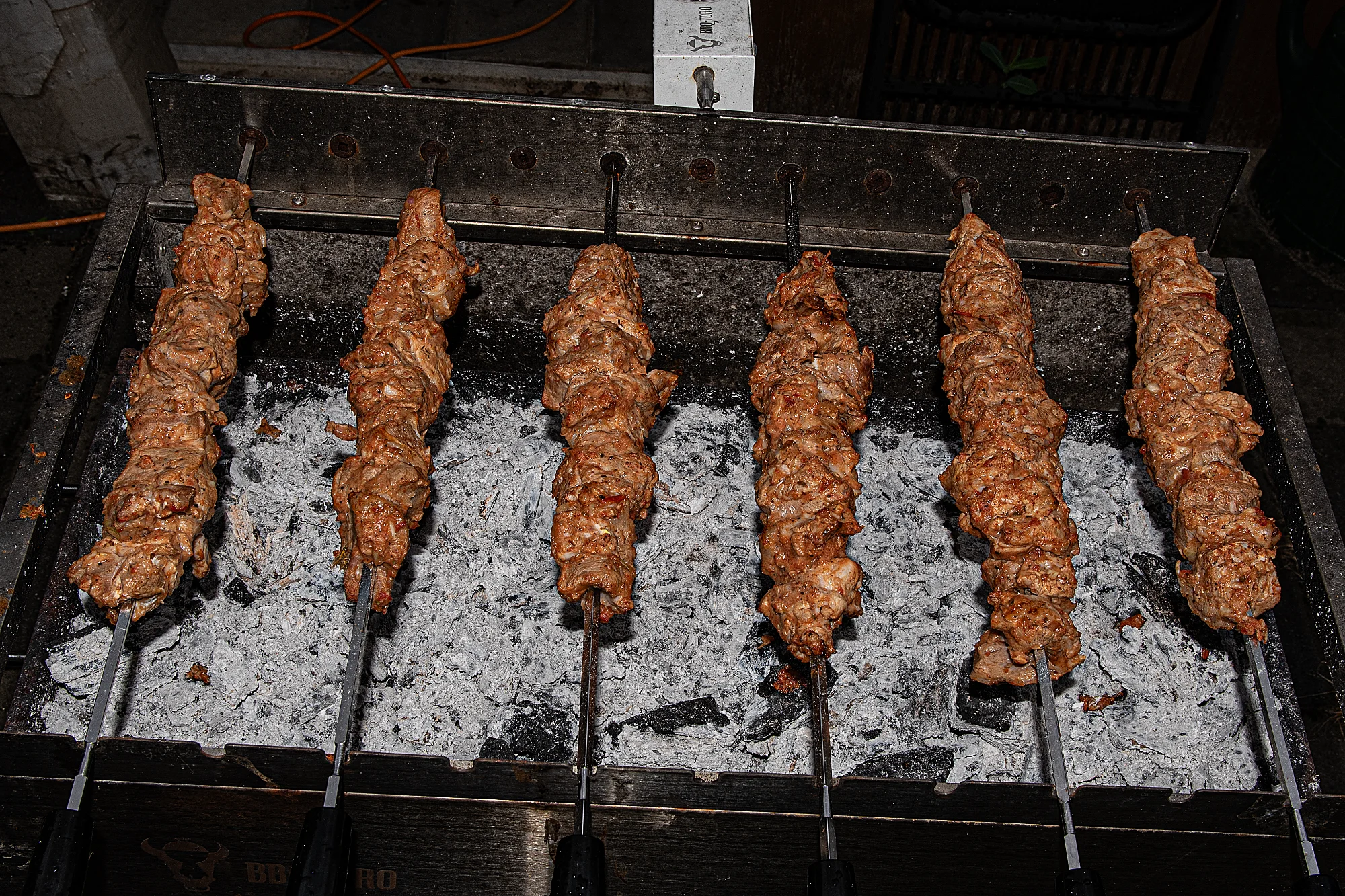 _DSC2229.webp