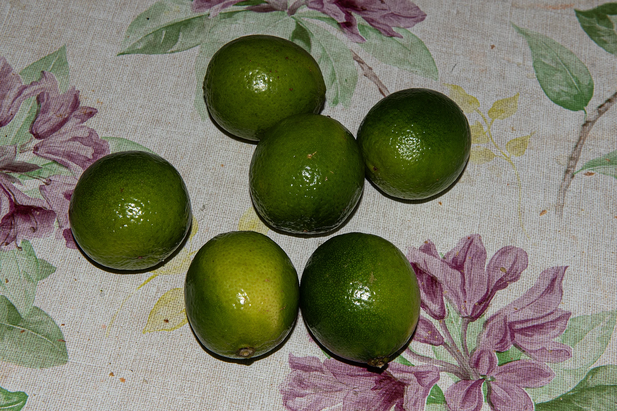 _DSC2237.webp