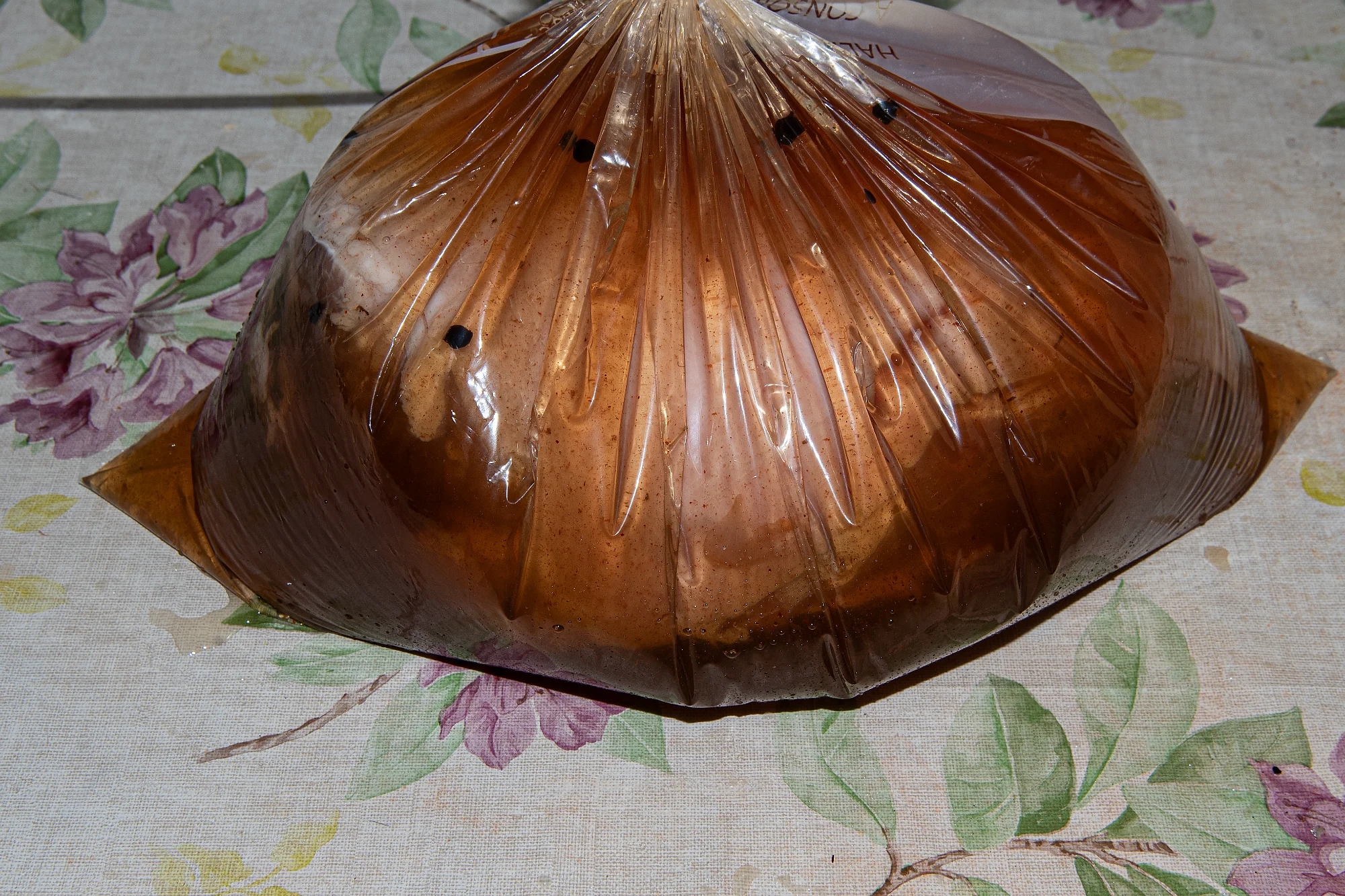 _DSC2433.webp