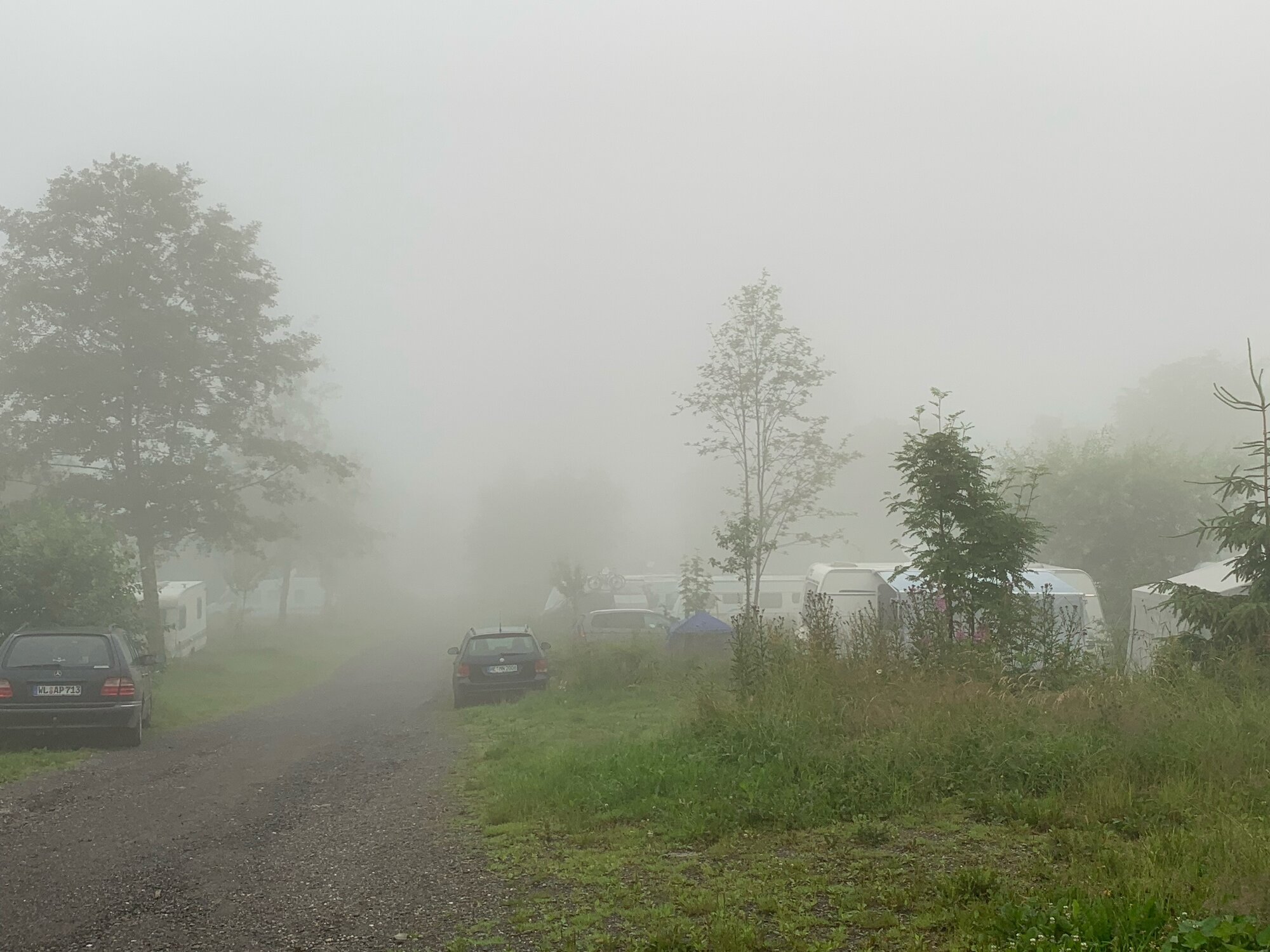 ADCDB666-8E9F-4856-857C-C24469D41F9A.jpeg
