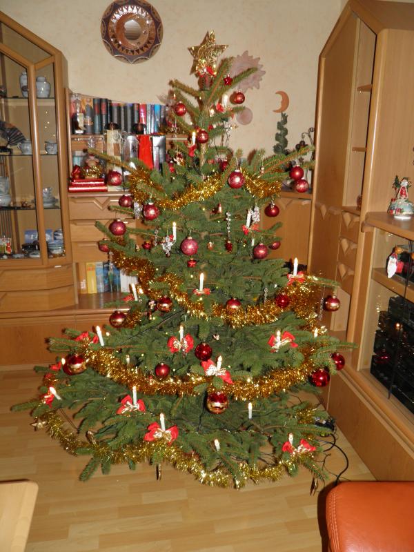 baum2.jpeg