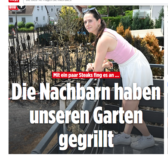 bild.PNG