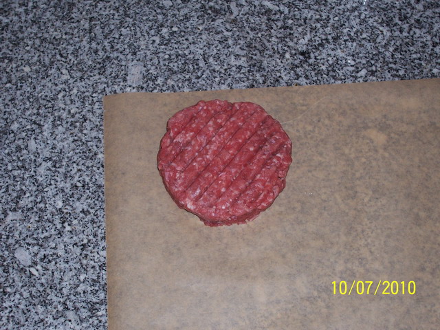bison_003.JPG