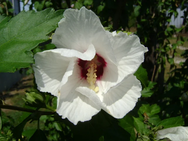 DSC00041.webp