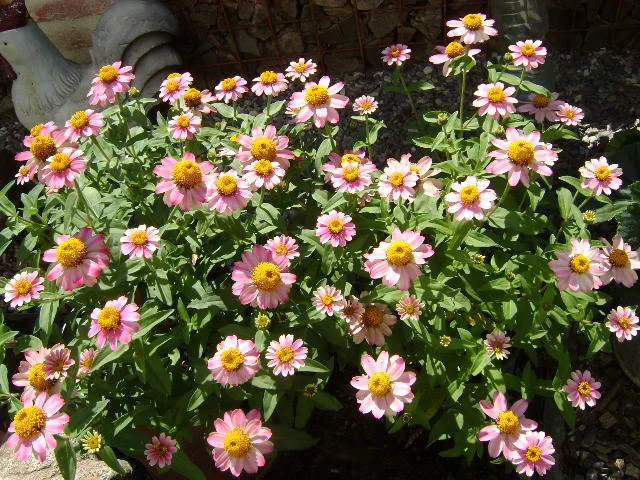 DSC00051.webp
