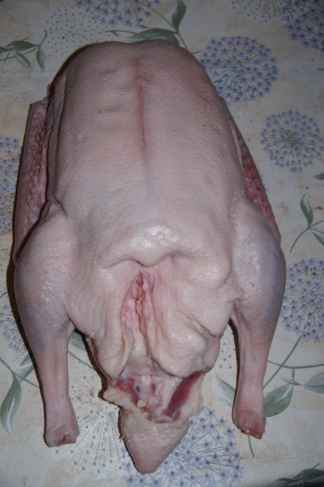 DSC01865.webp