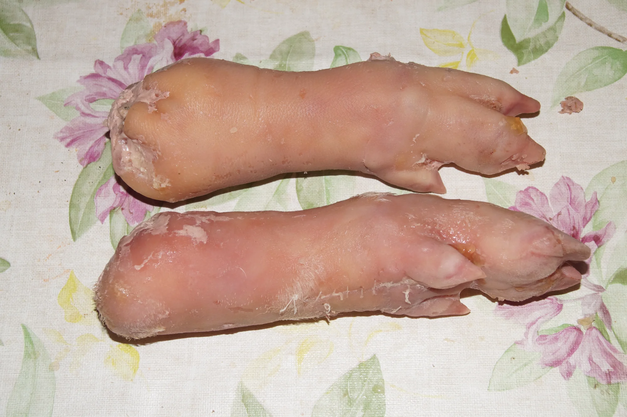 DSC02078.webp