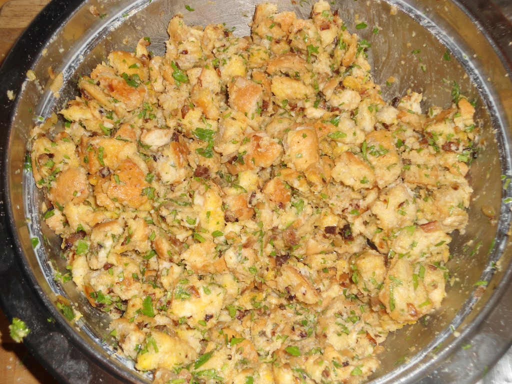 DSC04441 (Medium).JPG