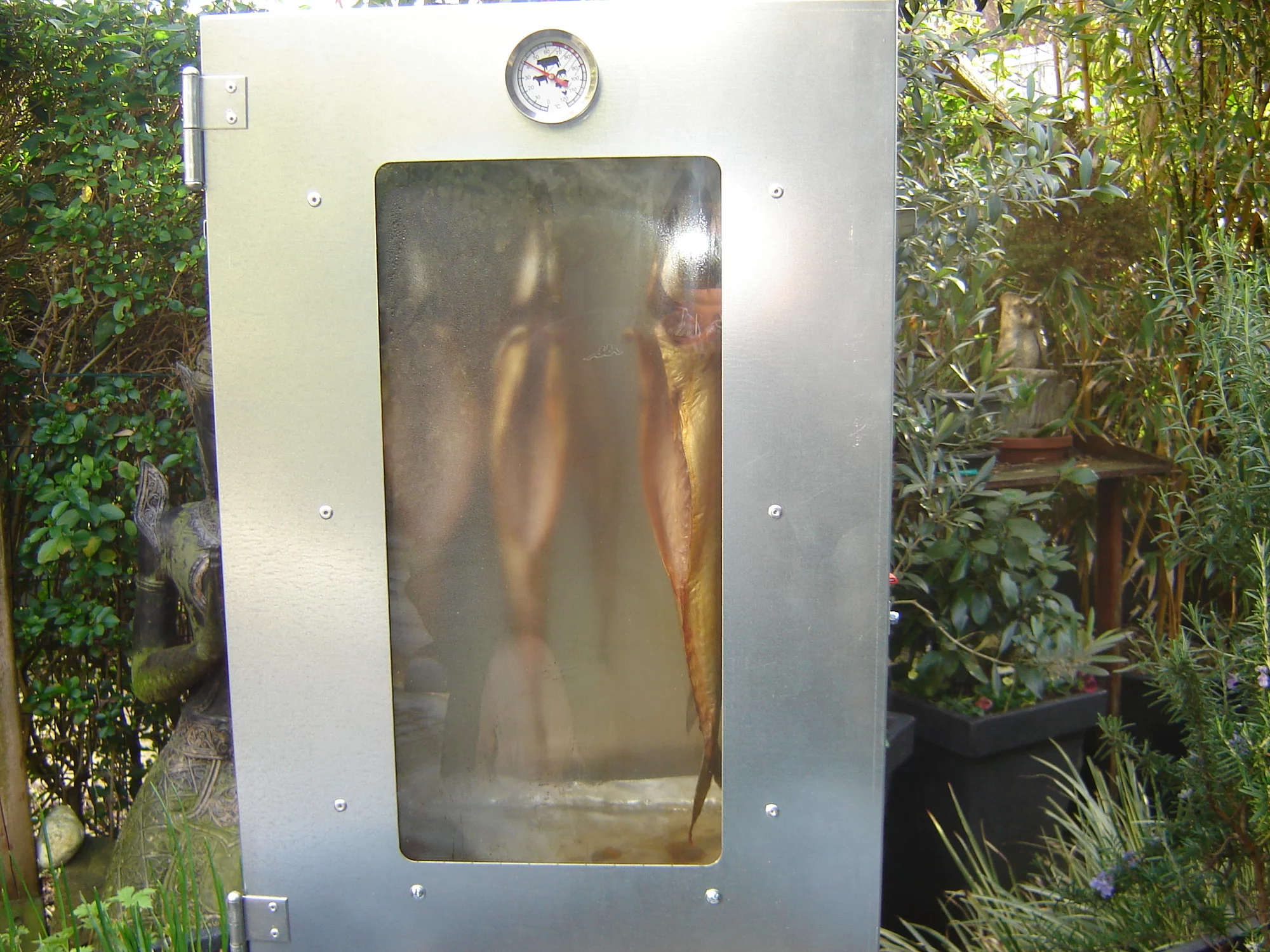 DSC05482.webp
