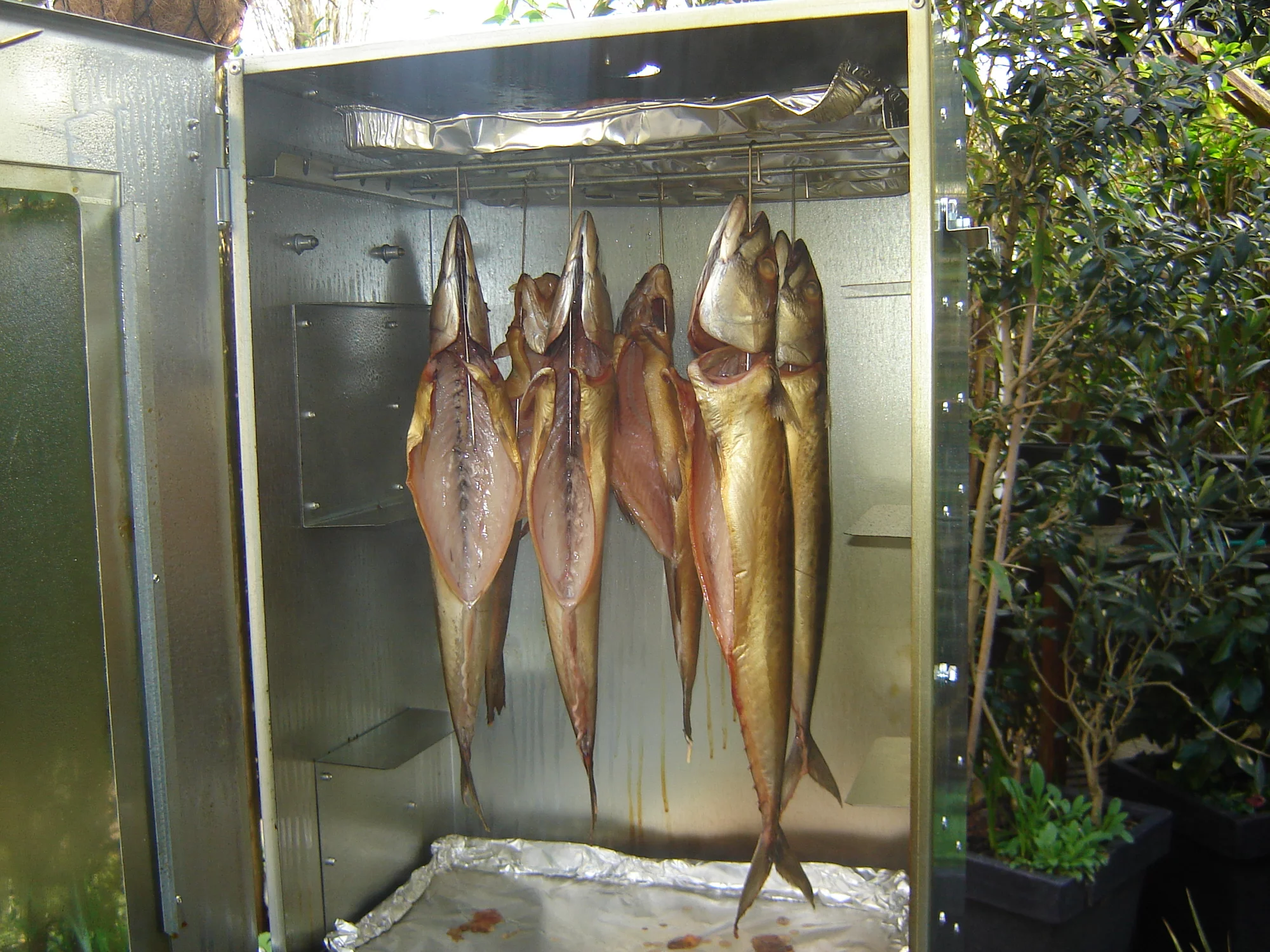 DSC05483.webp