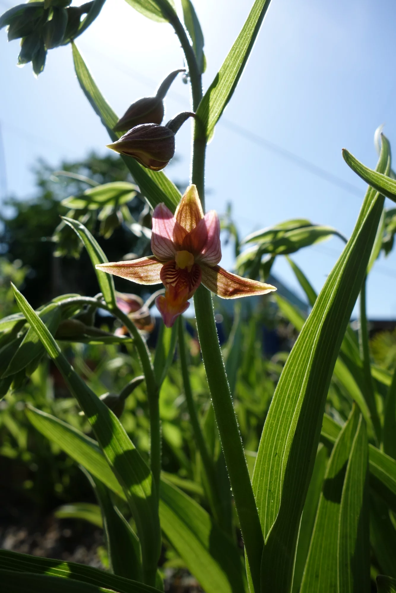 DSC08402.webp
