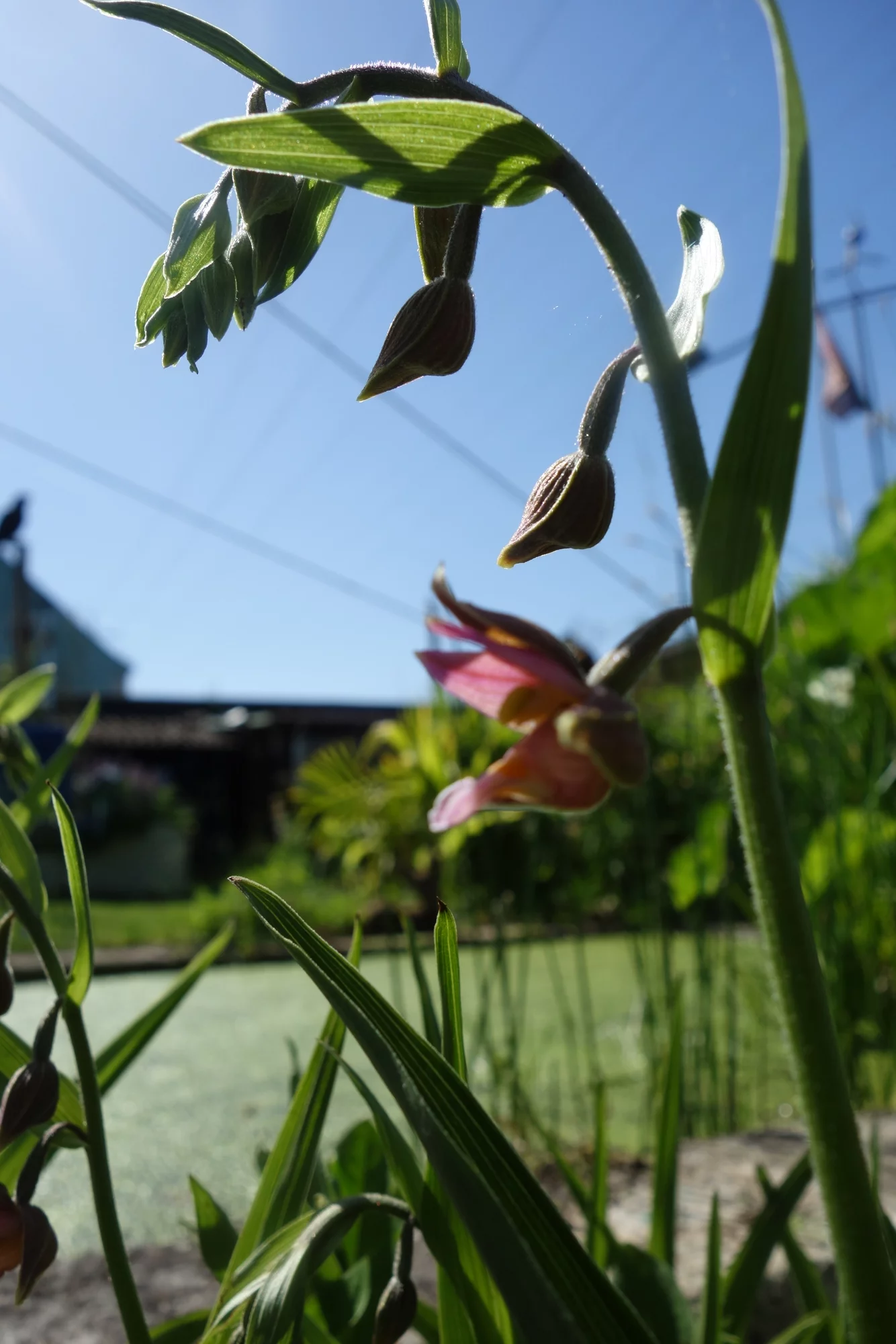 DSC08403.webp