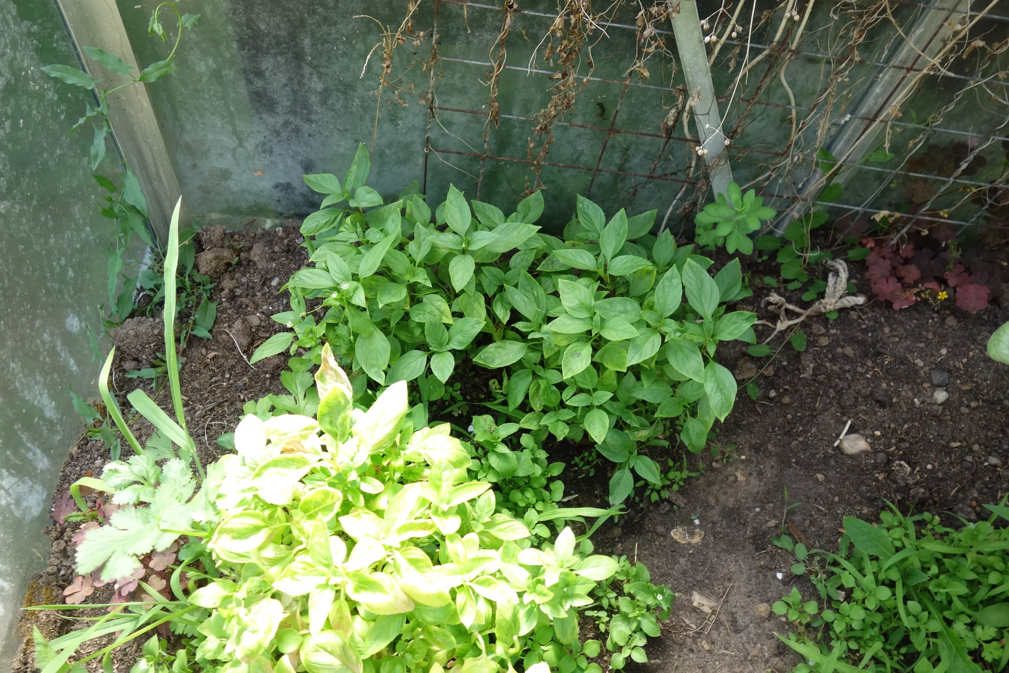 DSC08408.webp