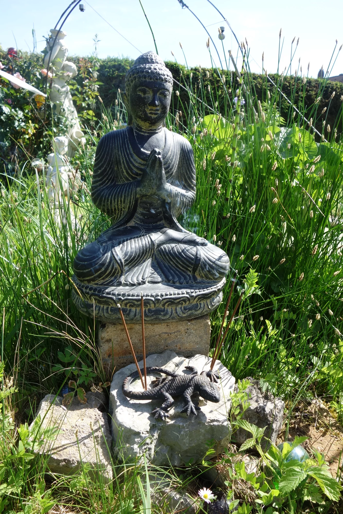 DSC08410.webp