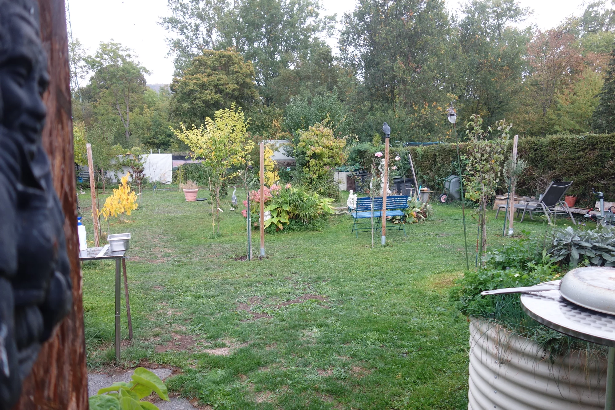 DSC09424.webp