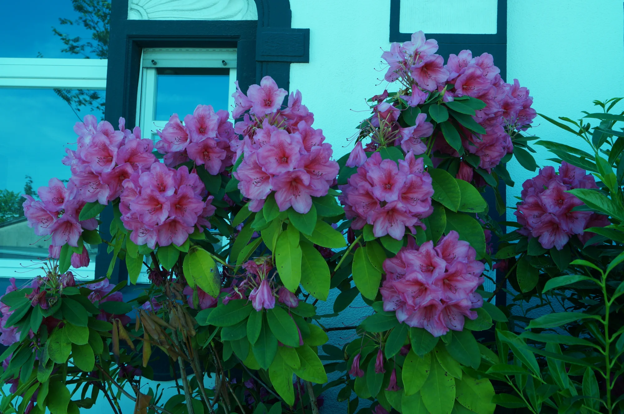 DSC09980.webp