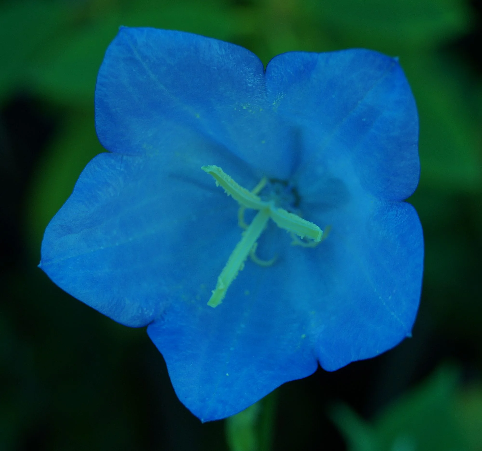 DSC09983.webp